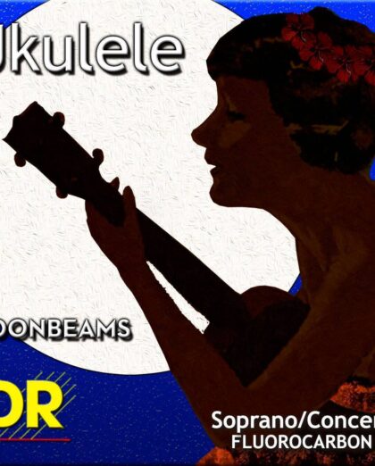 Dr UFSC UKELELE SOPRANO/CONCERT