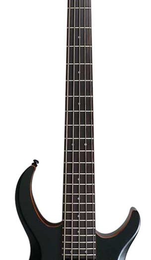 MARCUS MILLER M2-5 (2ND GEN) TBK TRANS BLACK