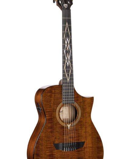 CORT FRANK GAMBALE LUXE NYLON BR W/CASE