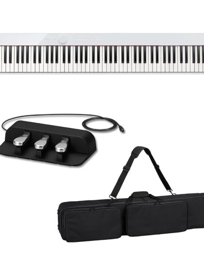 CASIO PRIVIA PX-S1100WE + SC-800 + SP-34